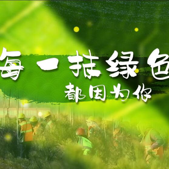 千年秀林，每一抹綠色都因為你