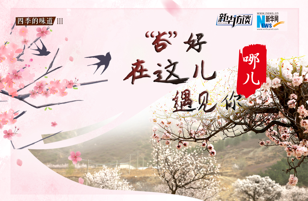 哪兒？“杏”好在這兒遇見(jiàn)你！