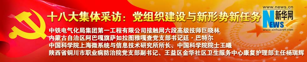 十八大集體采訪:黨組織建設(shè)與新形勢新任務