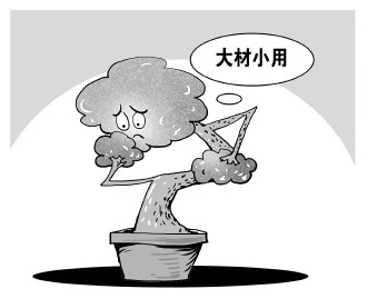 自認“大材小用”，不如腳踏實地