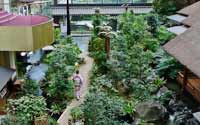震撼！日本最豪華的廁所（組圖）