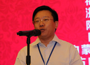 國際旅游投資協(xié)會副會長、巔峰智業(yè)首席顧問劉鋒
