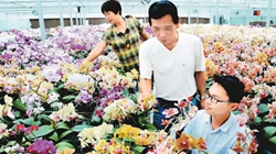 臺商眼中的改革開放：風景這邊獨好 要去，要去，要去！