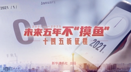 未來(lái)五年，不“摸魚(yú)”
