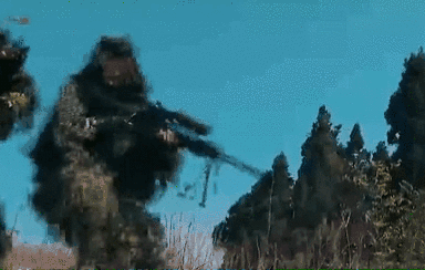 突入，擊斃！直擊武警特戰(zhàn)反劫持演練！