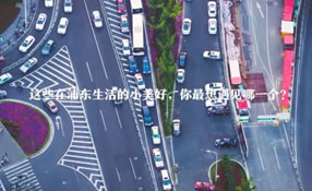 在浦東生活的小美好 你最想遇見哪一個？