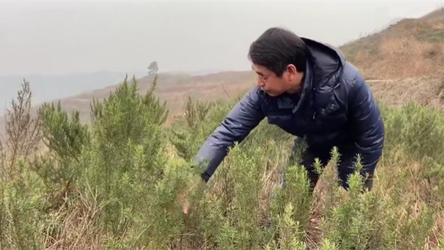 新春走基層｜脫貧后，駐村扶貧隊長在干啥？
