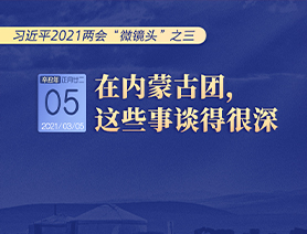 習(xí)近平2021兩會“微鏡頭”之三 3月5日 在內(nèi)蒙古團，這些事談得很深