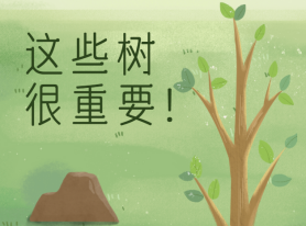 這些樹很重要！
