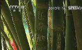 “五一”去哪？：快樂出行 文明旅游