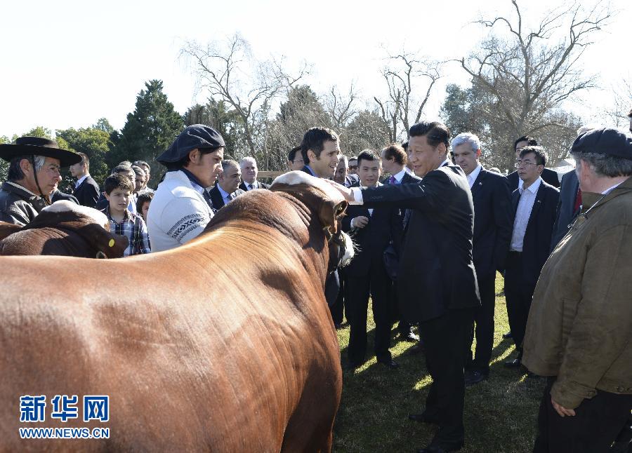 當地時間7月19日，正在對阿根廷進行國事訪問的國家主席習近平參觀共和國莊園，考察阿根廷農牧業(yè)，了解阿根廷農牧民文化特色。新華社記者馬占成攝 