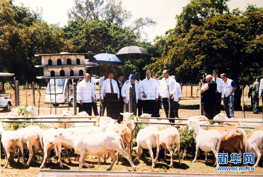 當(dāng)?shù)貢r(shí)間7月22日，國家主席習(xí)近平在哈瓦那親切探望古巴革命領(lǐng)袖菲德爾·卡斯特羅。 新華社發(fā)