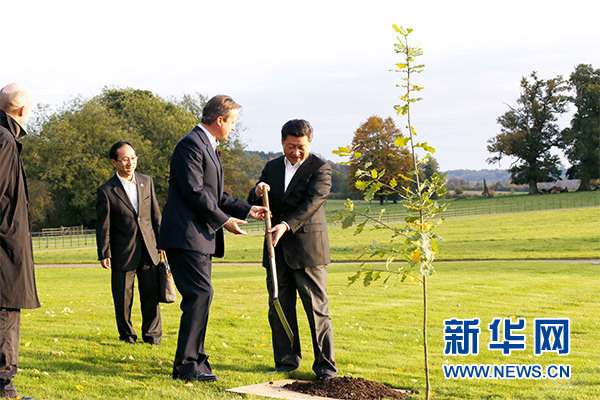 兩國領(lǐng)導(dǎo)人一同在別墅草坪，共同種下象征中英友誼的橡樹。新華社記者 鞠鵬 攝