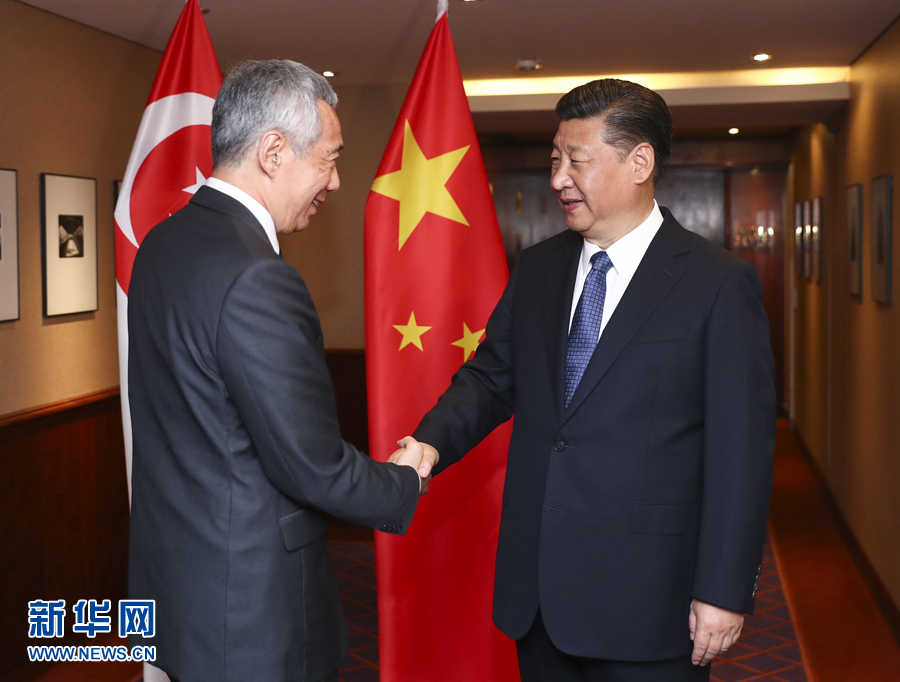 7月6日，國(guó)家主席習(xí)近平在漢堡會(huì)見(jiàn)新加坡總理李顯龍。 新華社記者謝環(huán)馳 攝