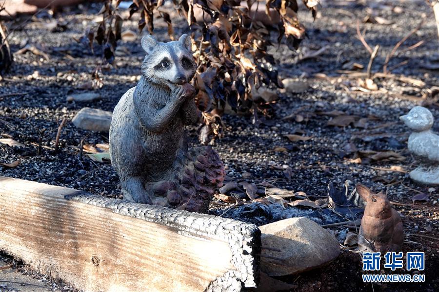 （國(guó)際&middot;圖文互動(dòng)）（4）一場(chǎng)山火，讓這個(gè)冬天格外冷&mdash;&mdash;探訪美國(guó)加州山火災(zāi)區(qū)