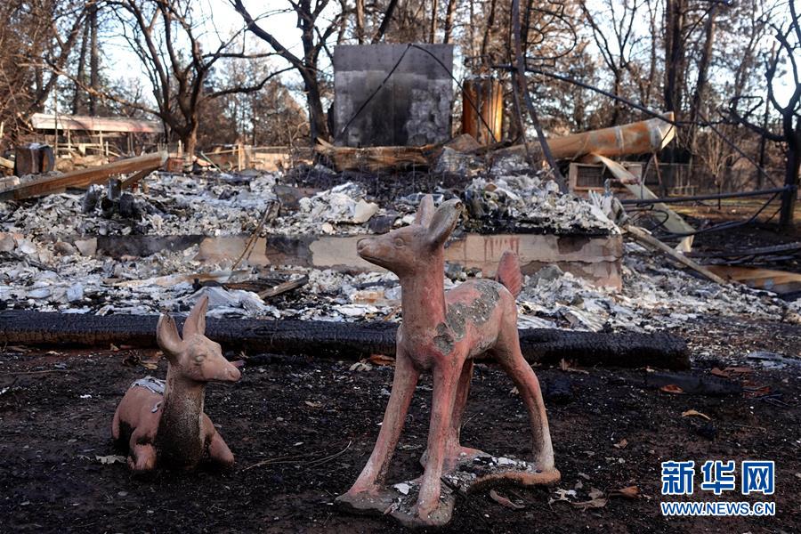 （國(guó)際&middot;圖文互動(dòng)）（6）一場(chǎng)山火，讓這個(gè)冬天格外冷&mdash;&mdash;探訪美國(guó)加州山火災(zāi)區(qū)