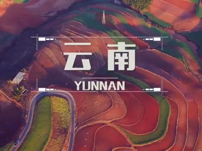 面向全球，直播“一帶一路”！——古道新生云之南